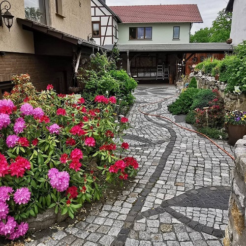 Best Plants For Walkways