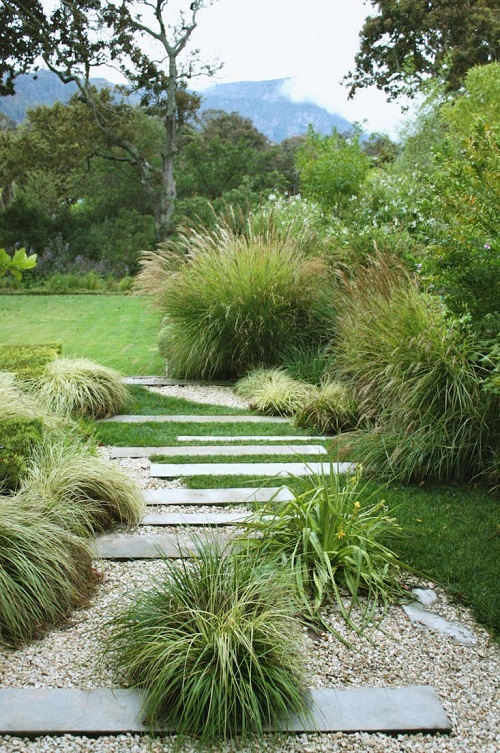best Beautiful Plants For Pathways 