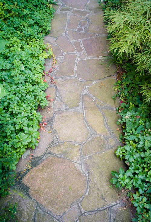 Attractive Plants for Pathways 