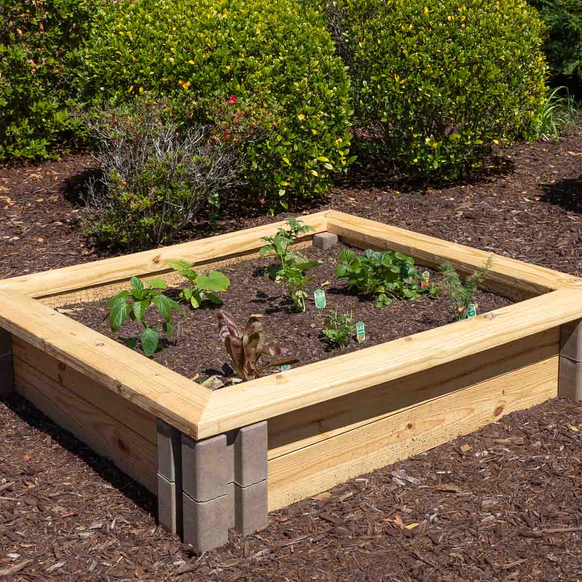 6 Inexpensive Raised Garden Bed Ideas